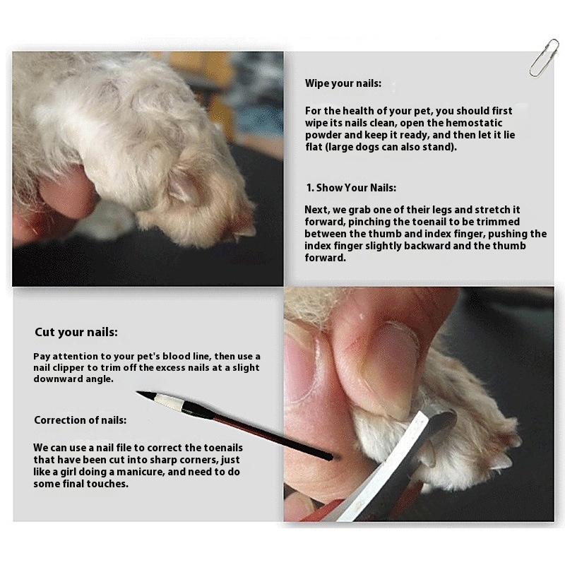 Kit professionnel de tondeuse & accessoires pour toilettage chiens et chats - Image 2