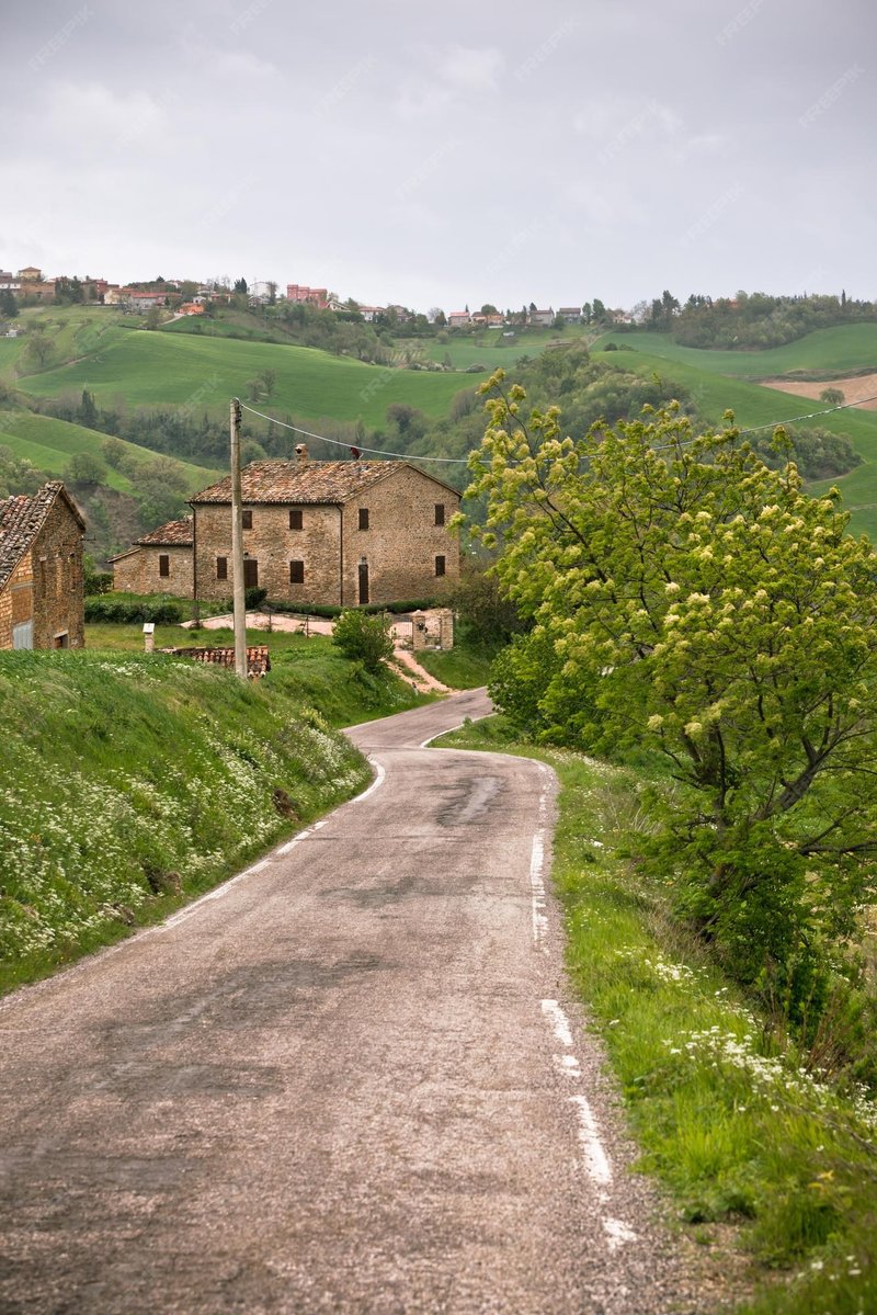 Italy - chicken road online