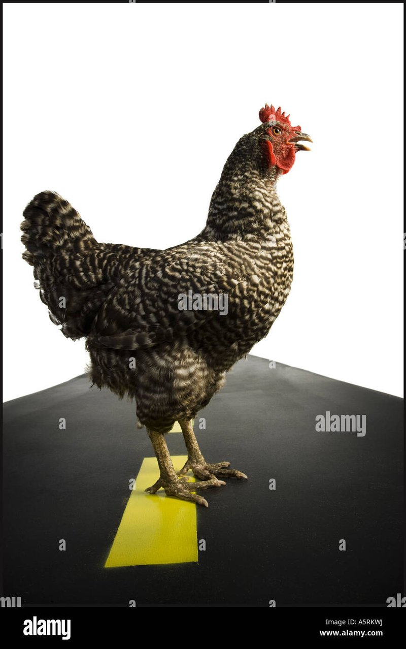 Descubre el emocionante juego de casino Chicken Road en España - overview